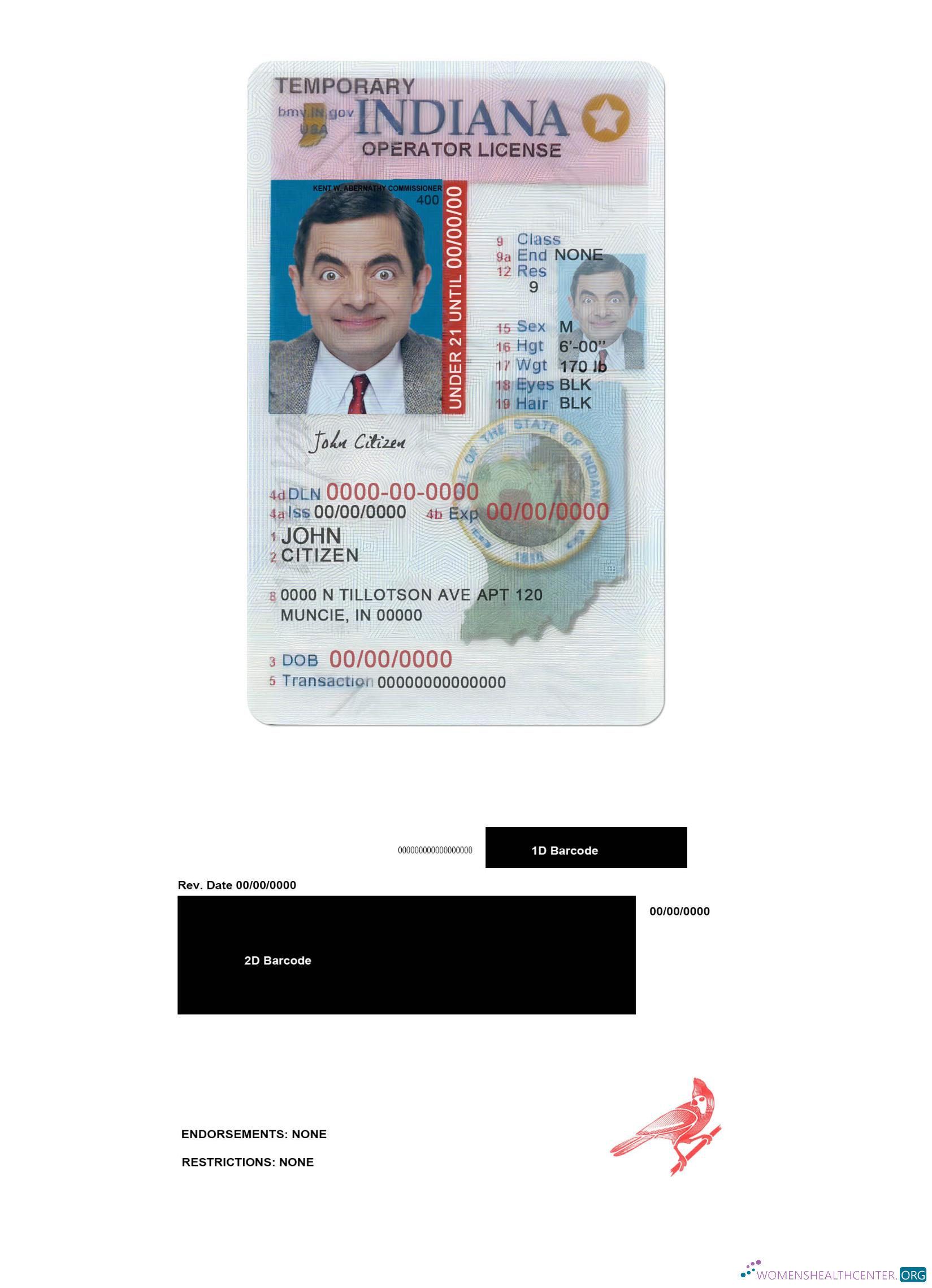 download USA Indiana driving (operator) license under 21